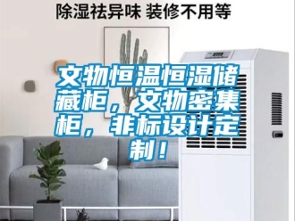 知識(shí)百科文物恒溫恒濕儲(chǔ)藏柜，文物密集柜，非標(biāo)設(shè)計(jì)定制！