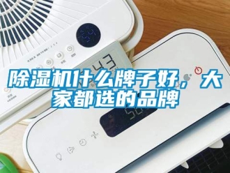 企業(yè)新聞除濕機(jī)什么牌子好，大家都選的品牌