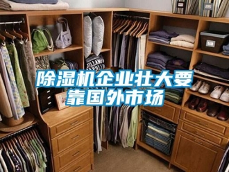 企業(yè)新聞除濕機企業(yè)壯大要靠國外市場