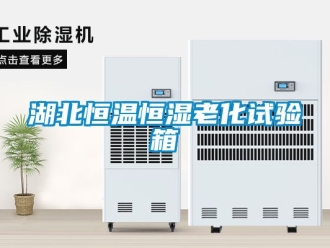 知識百科湖北恒溫恒濕老化試驗箱