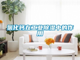 企業(yè)新聞氯化鈣在工業(yè)除濕中的作用