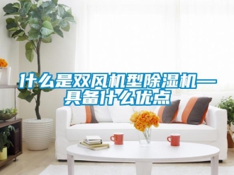 知識(shí)百科什么是雙風(fēng)機(jī)型除濕機(jī)—具備什么優(yōu)點(diǎn)