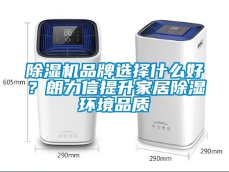 企業新聞除濕機品牌選擇什么好？朗力信提升家居除濕環境品質
