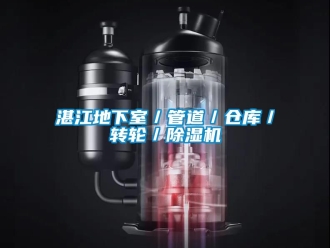 常見問題湛江地下室／管道／倉庫／轉(zhuǎn)輪／除濕機