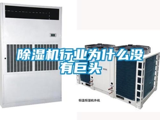 企業(yè)新聞除濕機(jī)行業(yè)為什么沒有巨頭