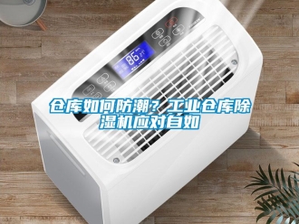 常見問題倉(cāng)庫(kù)如何防潮？工業(yè)倉(cāng)庫(kù)除濕機(jī)應(yīng)對(duì)自如