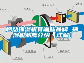 企業(yè)新聞移動抽濕機有哪些品牌 抽濕機品牌介紹【詳解】