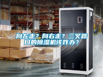 知識百科向左走？向右走？三叉路口的除濕機該咋辦？