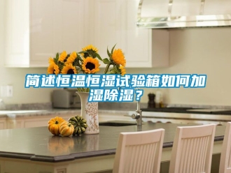 知識百科簡述恒溫恒濕試驗箱如何加濕除濕？