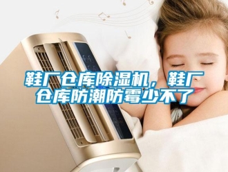 知識(shí)百科鞋廠倉(cāng)庫(kù)除濕機(jī)，鞋廠倉(cāng)庫(kù)防潮防霉少不了