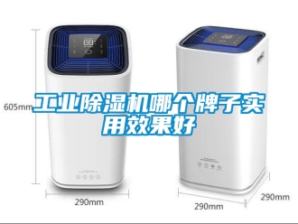 常見問題工業除濕機哪個牌子實用效果好