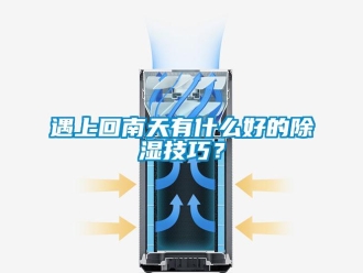 知識(shí)百科遇上回南天有什么好的除濕技巧？