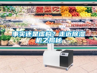 知識百科事實還是虛構(gòu)？走近除濕機之揭秘