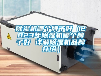企業(yè)新聞除濕機哪個牌子好（2023年除濕機哪個牌子好 詳解除濕機品牌介紹）