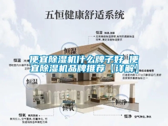 企業(yè)新聞便宜除濕機(jī)什么牌子好 便宜除濕機(jī)品牌推薦【詳解】