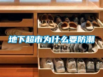 企業(yè)新聞地下超市為什么要防潮