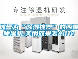 企業新聞被譽為“除濕神器”的西屋除濕機,實用效果怎么樣？