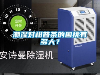 企業新聞潮濕對柑普茶的困擾有多大？