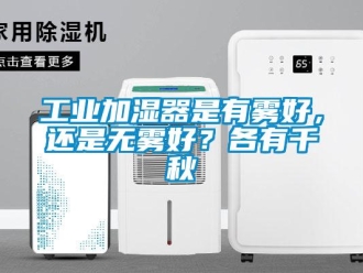 企業新聞工業加濕器是有霧好，還是無霧好？各有千秋