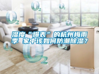 常見問題濕度“爆表”的杭州梅雨季 家中該如何防潮除濕？