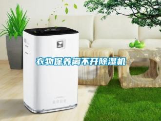 知識百科衣物保養離不開除濕機