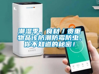 企業(yè)新聞潮濕季，食材／貴重物品該防潮防霉防蟲，你不知道的秘密！