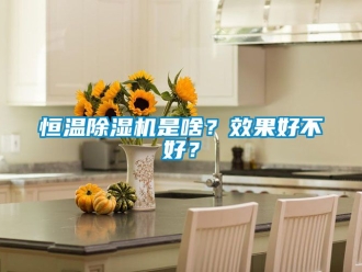 知識(shí)百科恒溫除濕機(jī)是啥？效果好不好？