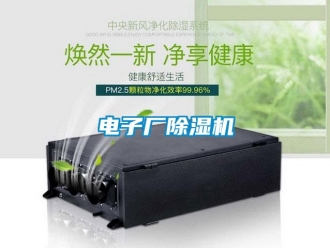 企業(yè)新聞電子廠除濕機