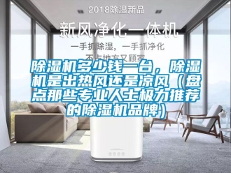 企業新聞除濕機多少錢一臺，除濕機是出熱風還是涼風（盤點那些專業人士極力推薦的除濕機品牌）