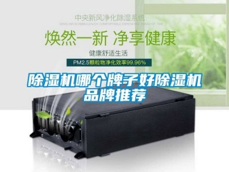 企業(yè)新聞除濕機哪個牌子好除濕機品牌推薦