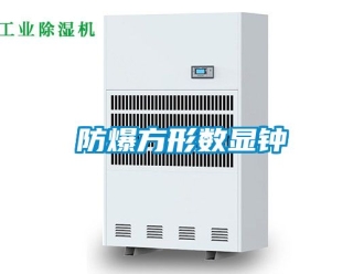 企業(yè)新聞防爆方形數(shù)顯鐘
