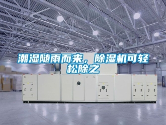 企業新聞潮濕隨雨而來，除濕機可輕松除之