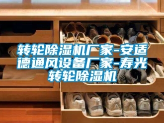 企業(yè)新聞轉(zhuǎn)輪除濕機(jī)廠家-安適德通風(fēng)設(shè)備廠家-壽光轉(zhuǎn)輪除濕機(jī)