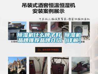 企業(yè)新聞除濕機(jī)什么牌子好 除濕機(jī)品牌推薦品牌介紹【詳解】