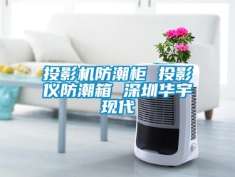 常見問題投影機防潮柜 投影儀防潮箱 深圳華宇現代