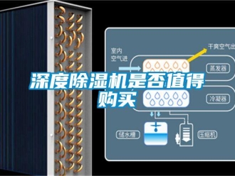 知識百科深度除濕機(jī)是否值得購買