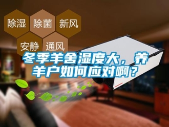 常見問題冬季羊舍濕度大，養(yǎng)羊戶如何應(yīng)對(duì)啊？