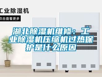 常見問題湖北除濕機維修：工業除濕機壓縮機過熱保護是什么原因