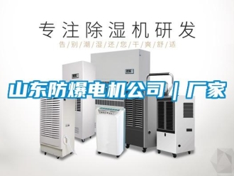 企業新聞山東防爆電機公司｜廠家