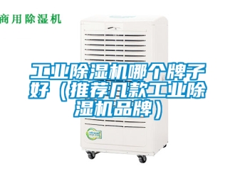 常見問題工業(yè)除濕機(jī)哪個牌子好（推薦幾款工業(yè)除濕機(jī)品牌）