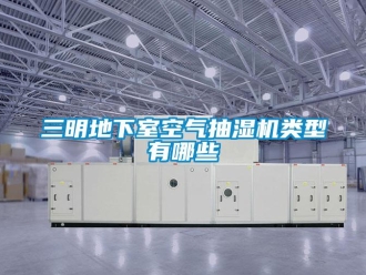 企業新聞三明地下室空氣抽濕機類型有哪些