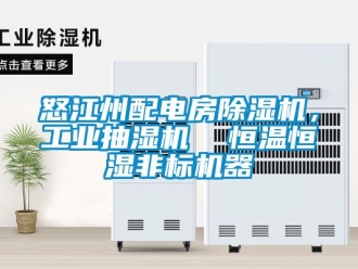 常見問題怒江州配電房除濕機(jī)，工業(yè)抽濕機(jī)  恒溫恒濕非標(biāo)機(jī)器