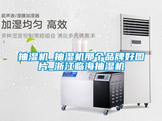 企業(yè)新聞抽濕機(jī)_抽濕機(jī)那個(gè)品牌好圖片_浙江臨海抽濕機(jī)