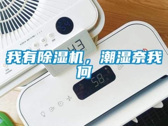知識百科我有除濕機，潮濕奈我何