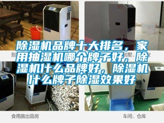 企業(yè)新聞除濕機(jī)品牌十大排名，家用抽濕機(jī)哪個(gè)牌子好，除濕機(jī)什么品牌好，除濕機(jī)什么牌子除濕效果好
