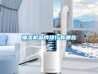 企業(yè)新聞抽濕機(jī)品牌排行有哪些