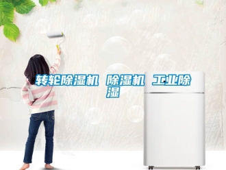 常見問題轉(zhuǎn)輪除濕機 除濕機 工業(yè)除濕