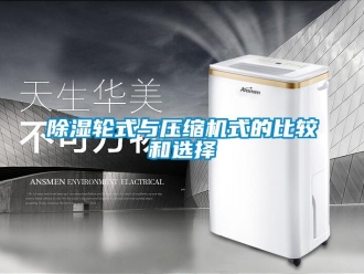 企業(yè)新聞除濕輪式與壓縮機式的比較和選擇