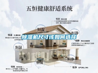 企業(yè)新聞除濕機尺寸該如何選擇