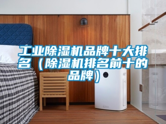 常見問(wèn)題工業(yè)除濕機(jī)品牌十大排名（除濕機(jī)排名前十的品牌）